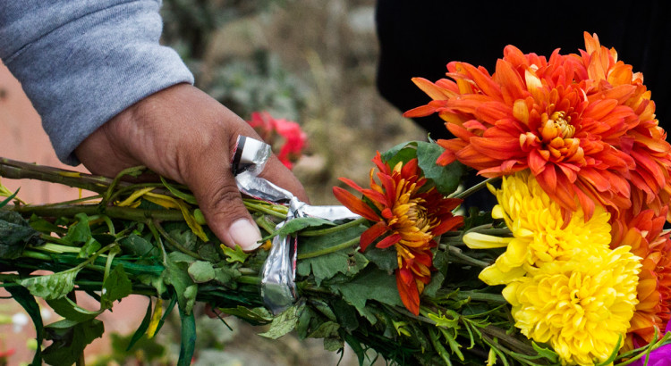 peru, cemetery, flowers, day of the dead, day of the living