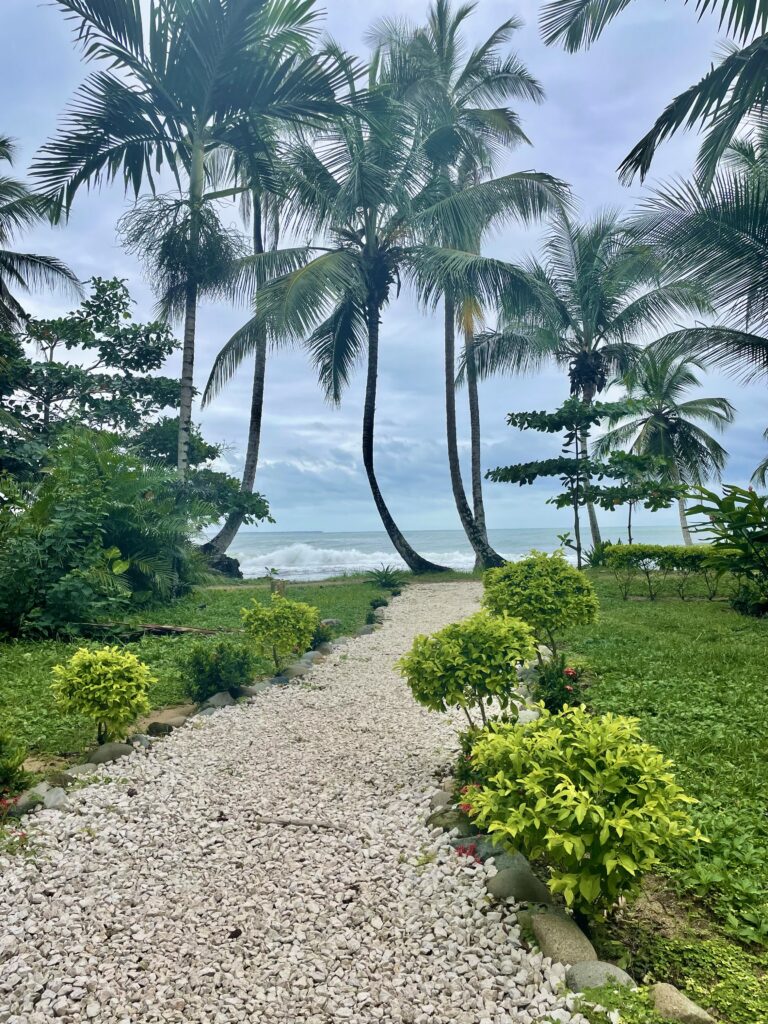 picture of a stone path that leads to a horizon dotted by palm trees