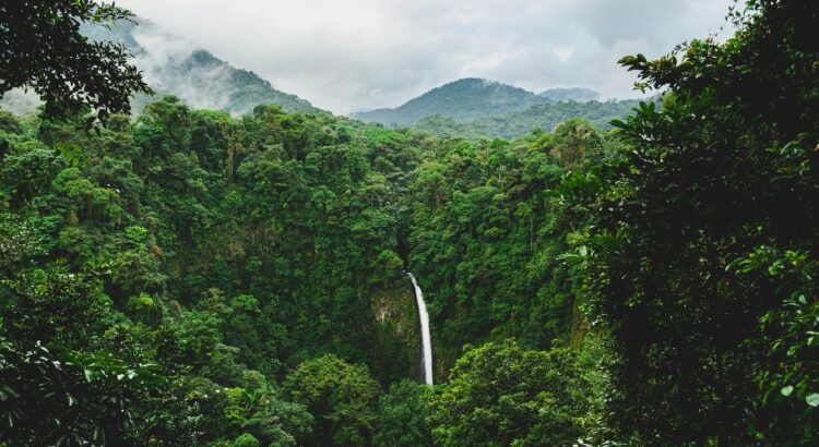 picture of a waterfall in the distance surrounded by green jungle