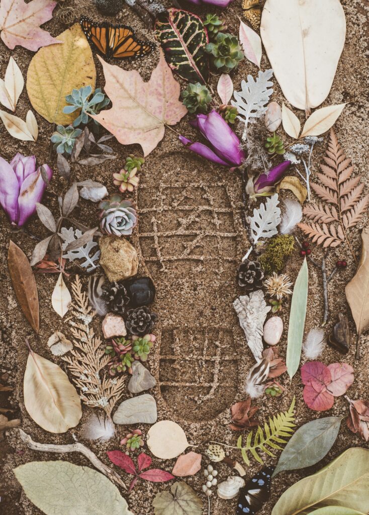 Shoe footprint in the sand surrounded by leaves, ferns, flowers, succulents, rocks and pine cones